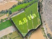 Terrenos desde 10,000 m2 hasta 4.8 ha En Total...