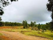 TERRENOS A SOLO 6 KM DE ATEMAJAC DE BRIZUELA, TAPALPA
