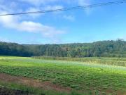 Terrenos à Venda 13,49ha paulista no Parque Santa Rosa...