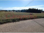 Terrenos Águeda Águeda 3750 DS96068022