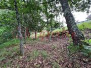 Terrenos Águeda Águeda DS90652148