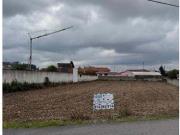 Terrenos Albergaria Aveiro DS90971146