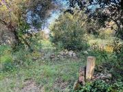 Terrenos Albufeira Faro 8200 486 DS95303232