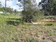 Terrenos Alcobaça Leiria DLS91598538