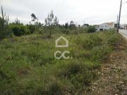 Terrenos Alcobaça Leiria DS81268270