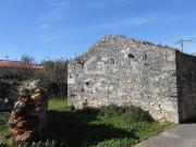 Terrenos Alcobaça Leiria DS81268287