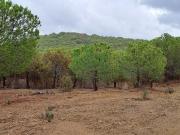 Terrenos Alcoutim Alcoutim DS94011990