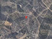 Terrenos Alcoutim Algarve DS90401806