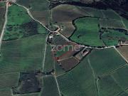 Terrenos Alenquer Alenquer DS95593656