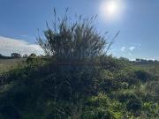 Terrenos Alenquer Lisboa 2580 121 DS97111547