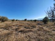 Terrenos Alicante Communidad Valencia 81223686