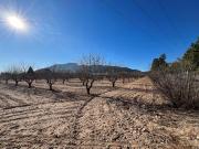 Terrenos Alicante Communidad Valencia 82371586