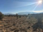 Terrenos Alicante Communidad Valencia ELS81223686