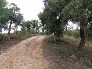 Terrenos Aljezur Algarve DS85572513