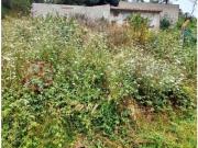 Terrenos Almada Almada DS97120024