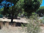 Terrenos Almancil FARO DS67110584