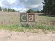 Terrenos Almeirim Almeirim DS86566547