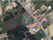 Terrenos Almeirim Almeirim DS94520724