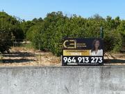 Terrenos Almeirim Almeirim DS99250103
