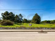 Terrenos Almeirim Almeirim DS99435821