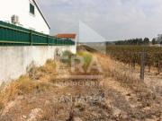 Terrenos Alpiarça Alpiarça DS87036014