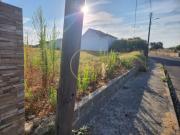 Terrenos Alpiarça Alpiarça DS92929544