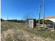 Terrenos Alpiarça Alpiarça DS95846636 Terrenos Alpiarça Alpiarça DS95846636