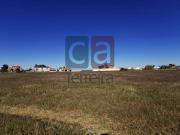 Terrenos Alpiarça Alpiarça DS97518687