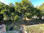 Terrenos Alpiarça Santarém DS45049995