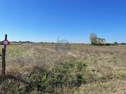 Terrenos Alpiarça Santarém DS87357252