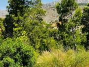 Terrenos Altea Alicante 67104141