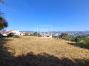 Terrenos Amarante Porto DS95178566