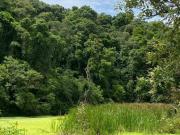 Terrenos amplos de 1.000m², perfeitos para construir,...