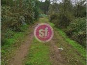 Terrenos Anadia Anadia DS89636915