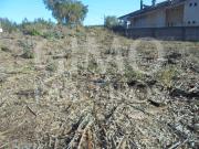 Terrenos Anadia Anadia DS95571335