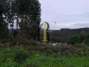 Terrenos Aveiro Santa Maria da Feira 4525 DS96428165