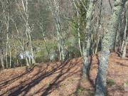 Terrenos Baiao Porto DS92708442