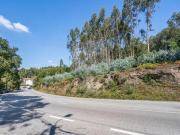 Terrenos Braga Braga DS94608614