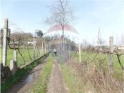 Terrenos Braga Braga DS95093246 Terrenos Braga Braga DS95093246