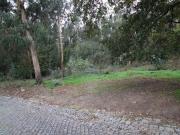 Terrenos Braga Braga DS97012905