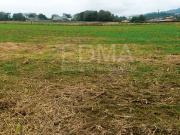 Terrenos Braga Vila Nova de Famalicão 4770 DS98882951