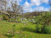 Terrenos Cáceres Extremadura LS95085644