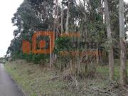 Terrenos Caldas da Rainha Caldas da Rainha DS98336917
