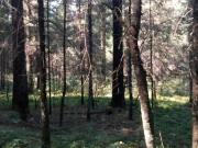 TERRENOS CAMPESTRE EN VENTA EN GOMEZ PALACIO DGO