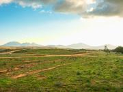 TERRENOS CAMPESTRES DESDE 300M2 EN TECATE