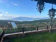 Terrenos Campestres en Venta en Fracc. El Timbe...