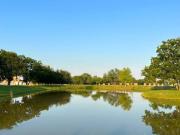 TERRENOS CAMPESTRES EN VENTA EN MONTEMORELOS