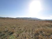 Terrenos Canada Del Trigo Murcia 93204758