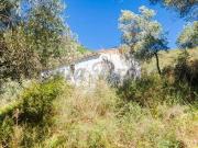 Terrenos Canillas De Albaida Málaga 73494736