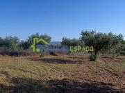 Terrenos Castelo Branco Castelo Branco 6000 DS97226470